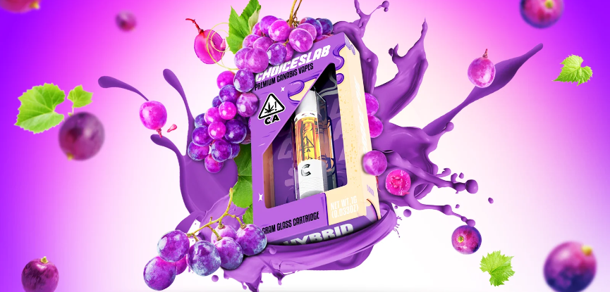 Choice Labs 2g dual chamber disposable vape with two flavor sides and premium packaging
